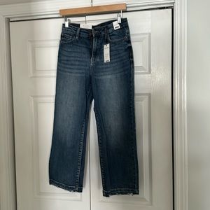 Judy Blue High Waist Wide Leg Crop